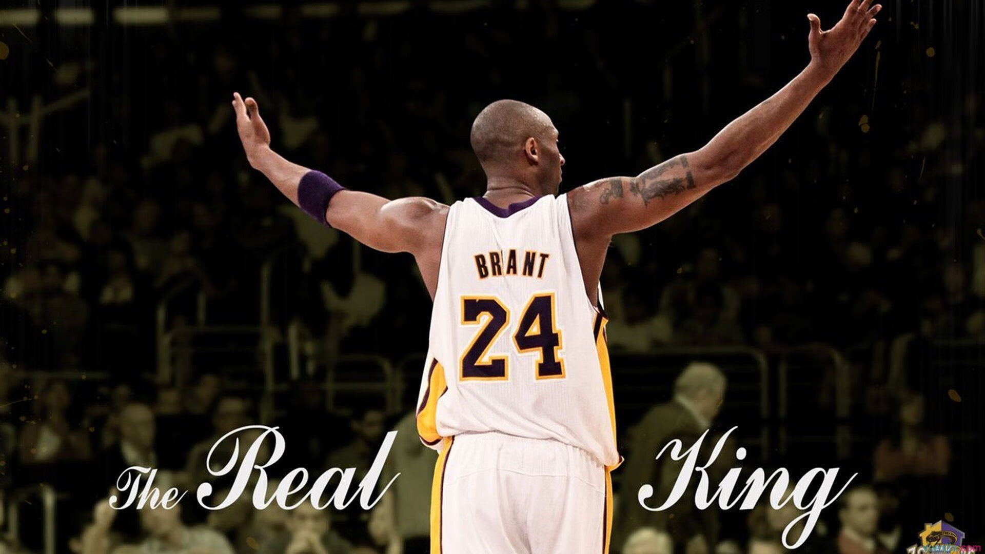 乐鱼(LEYU)体育-特色足球文化通过互联网直播走向全球,增强影响力,足球文化app